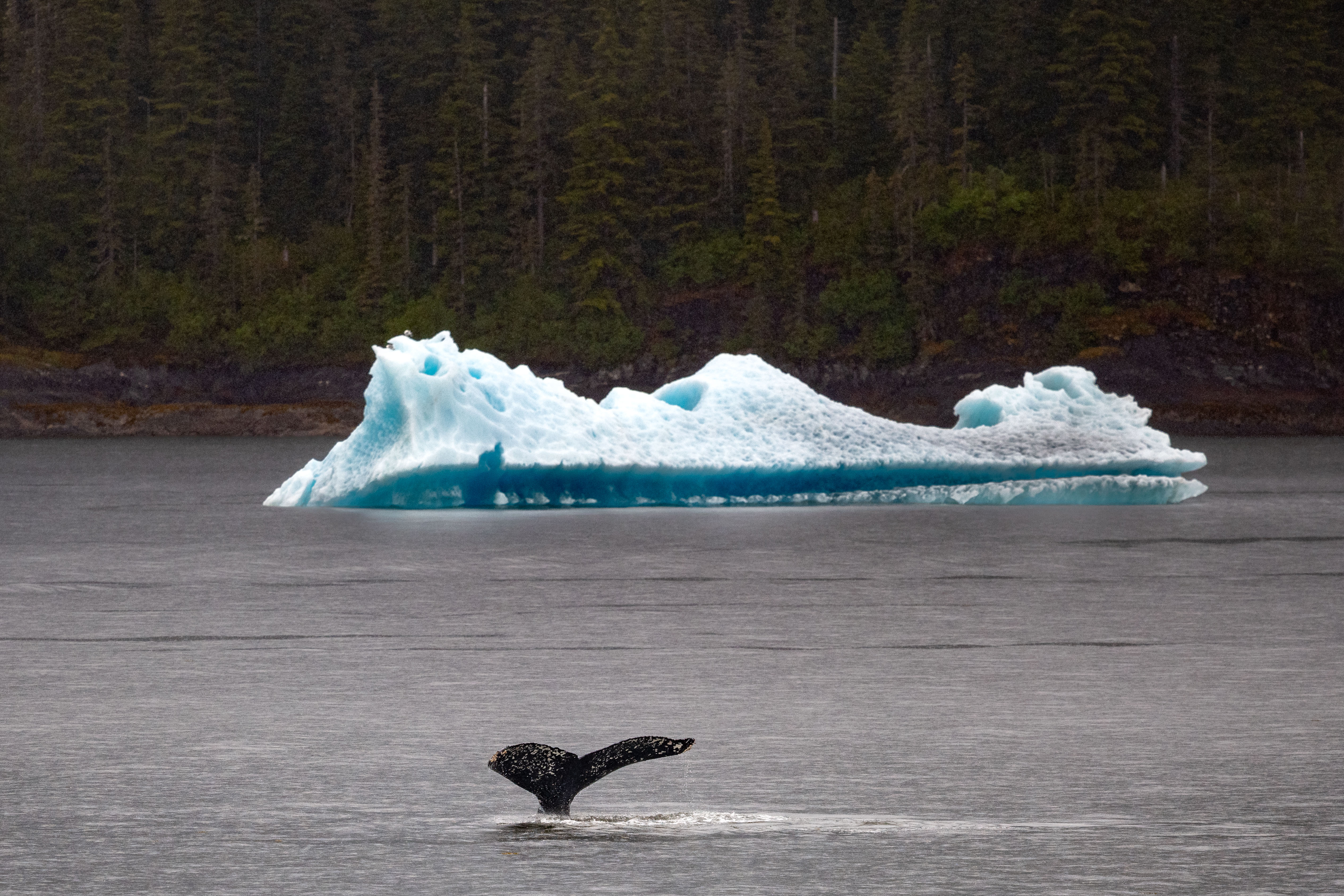 Alaska -