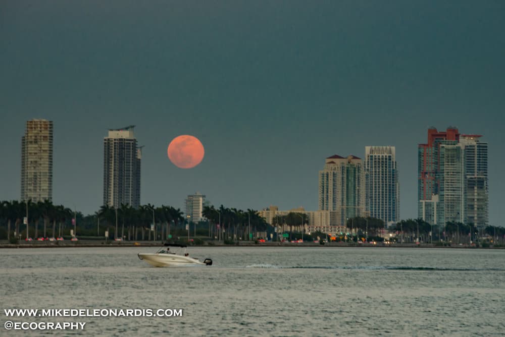 Miami, Florida - This Moonrise over Miami reminded me of my childhood watching Miami Vice on TV.