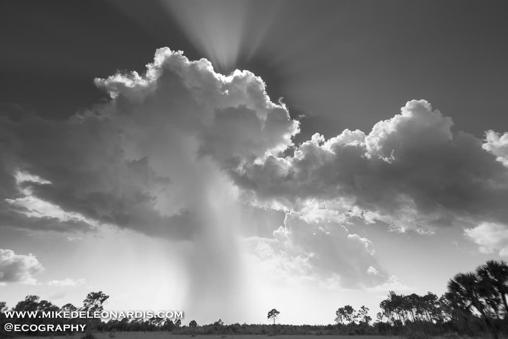 Big Cypress National Preserve, Florida