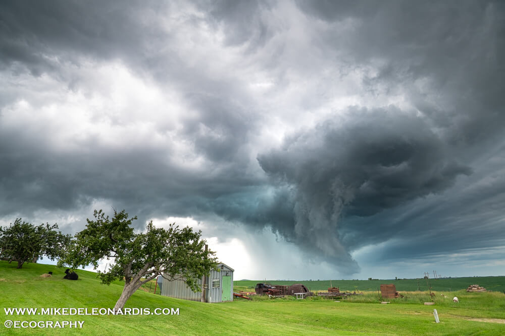 Dyersville, Iowa - As the funnel crosses the road over my head, it becomes stronger and stronger. It's literally passing over my head (I do not recommend this) and I'm watching this funnel cloud spinning as it's passing. I frantically run towards the side of the road in the direction the storm is moving to get closer to the grass and take this shot. You can see the giant curve the funnel is doing. I'm thinking it's surely to touch down any second now, but this whole window of a photo was only open for about 20 seconds as the inflow got choked and the funnel dissipated within seconds.<br><br>I was probably the only person to see this because it happened so relatively quickly and no one was around. It's also why I find this photo so special because it was something that happened and I was probably the only person on Earth to witness this particular shot.<br><br>Four weeks of driving about 10,000 miles, dodging hail, lightning, heavy rains, and winds. When I was at my most exhausted and didn't even really want to chase this day, I ended up getting the most beautiful shot of the year. With only one hour left before storms would overtake me and I wouldn't be able to get another shot, I ended up capturing the most beautiful storm I saw in 2024.<br>