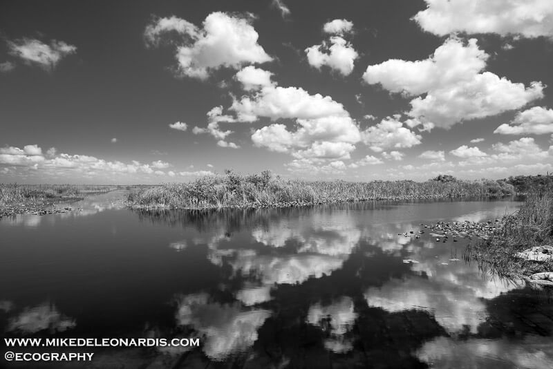 Florida Everglades