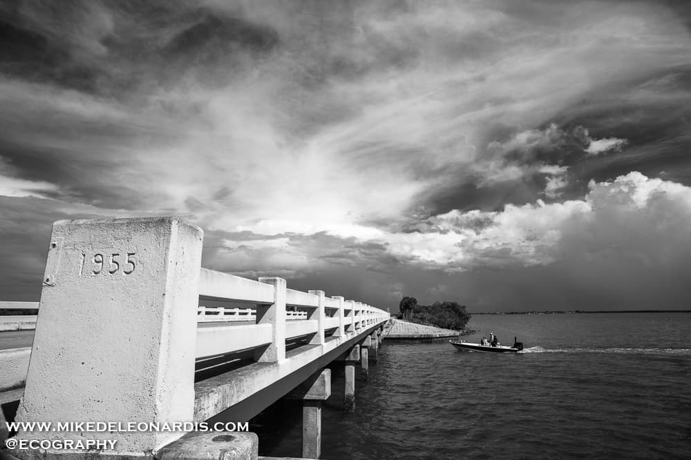 Florida Everglades