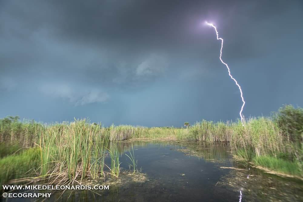 Big Cypress National Preserve, Florida