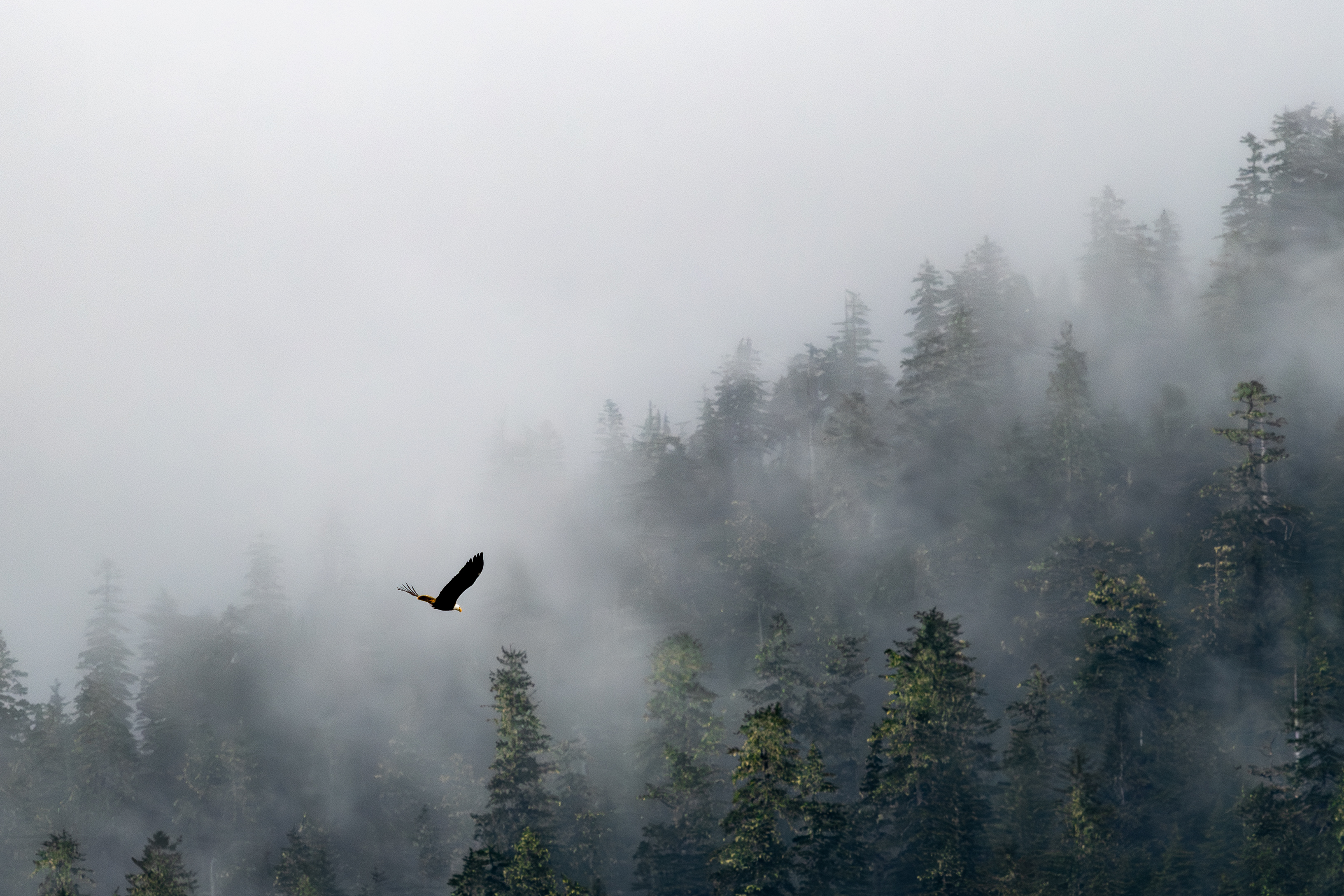 Ketchikan, Alaska -