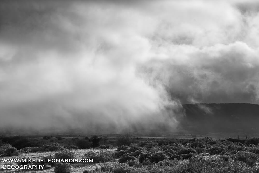 Southern Chile - I don't know what it is about South Chile in the winter, but the fog and low clouds all around are extremely beautiful. This was somewhere in the open plains between Punta Arenas and Puerto Natales.