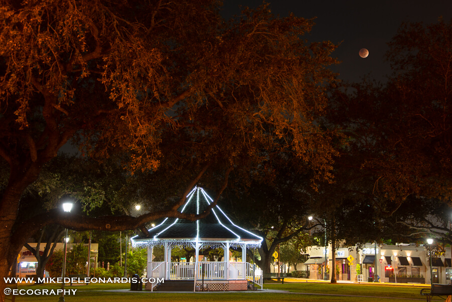 Total Lunar Eclipse over Miami Springs