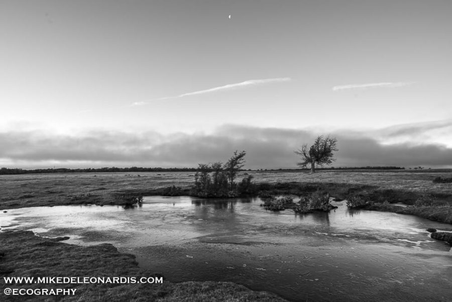Moonrise Over Patagonia