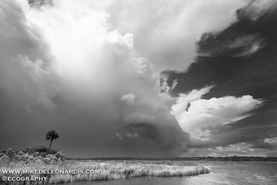 Hurricane Hermine