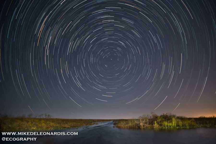 Startrails Over Everglades National Park