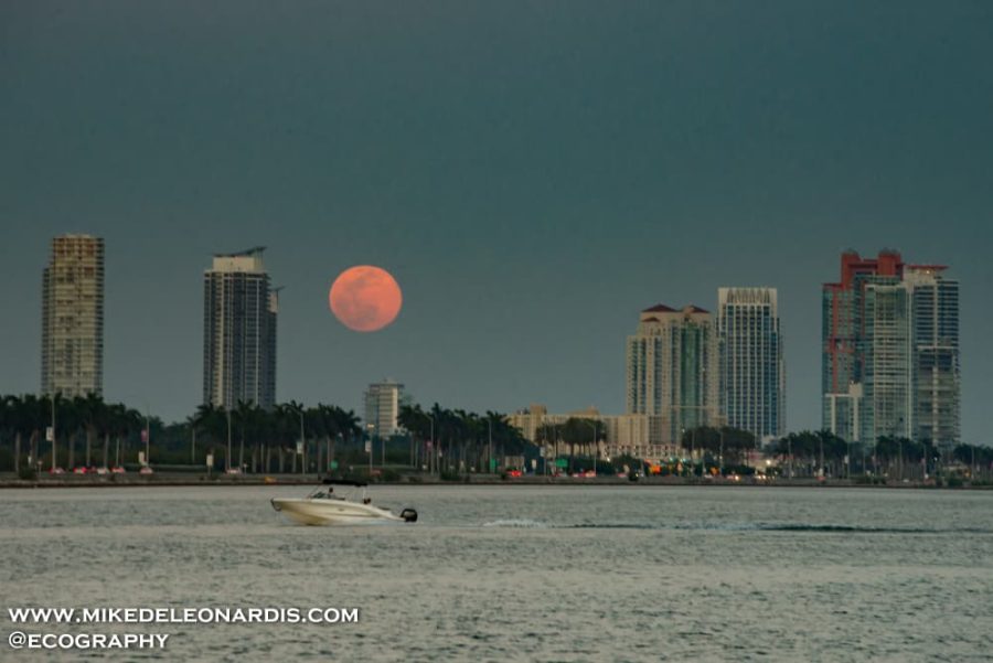 Moonrise Over Miami