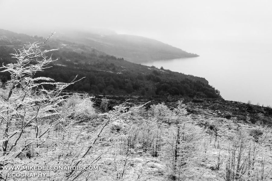 Lago El Toro Snowfall