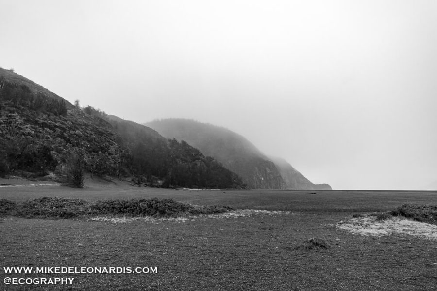 Foggy Hills