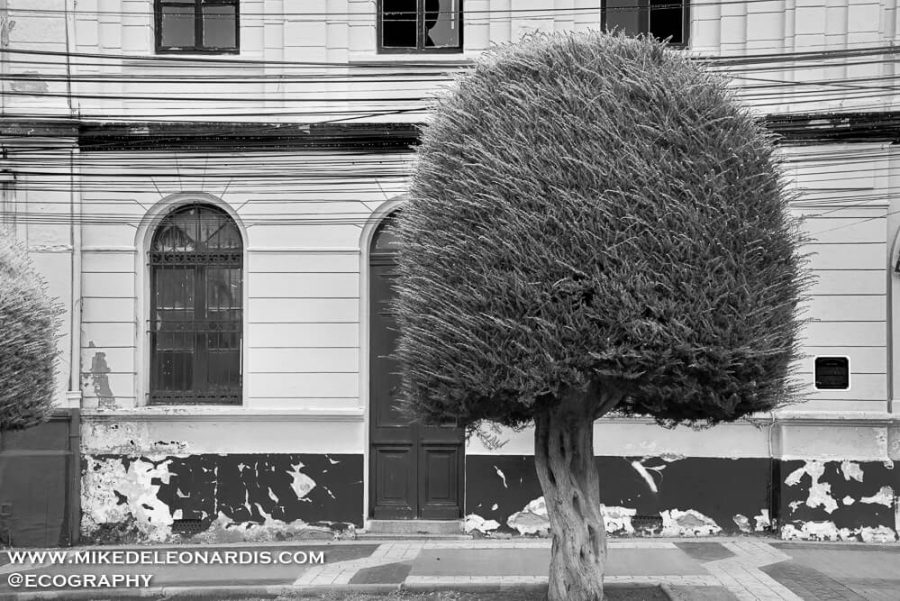 Southern Chile Streetscape