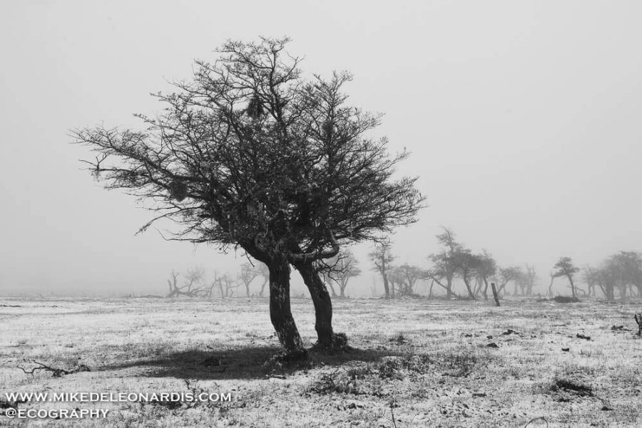Chilean Winter Storm