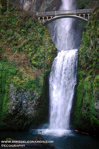 Multnomah Falls, Oregon