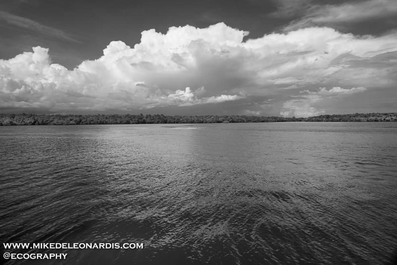 Everglades Waters