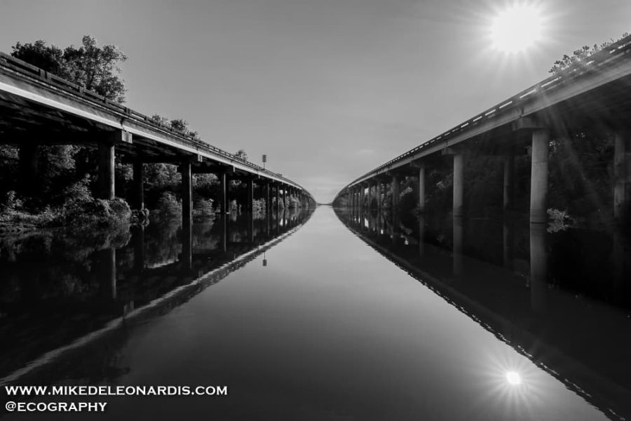 Atchafalaya Basin