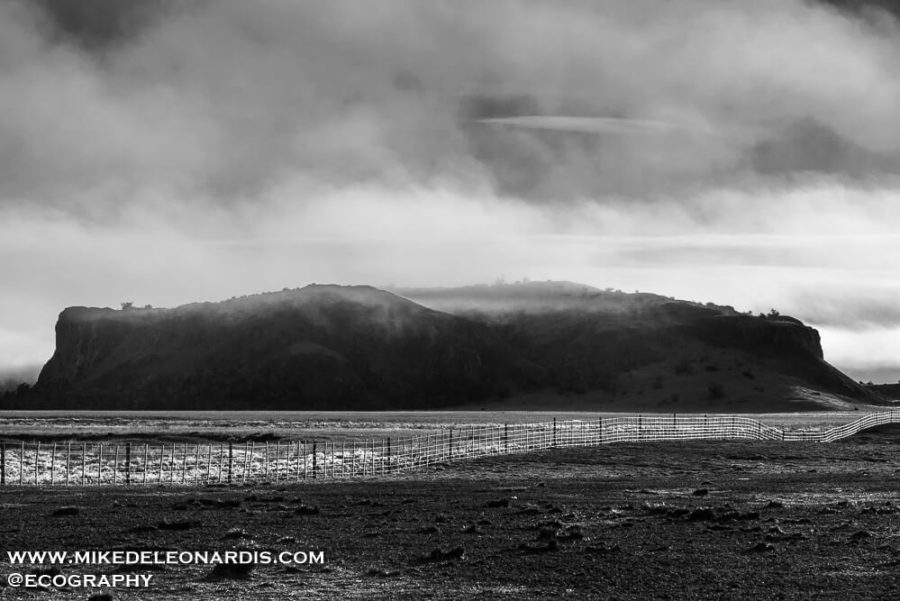 Foggy Mesa
