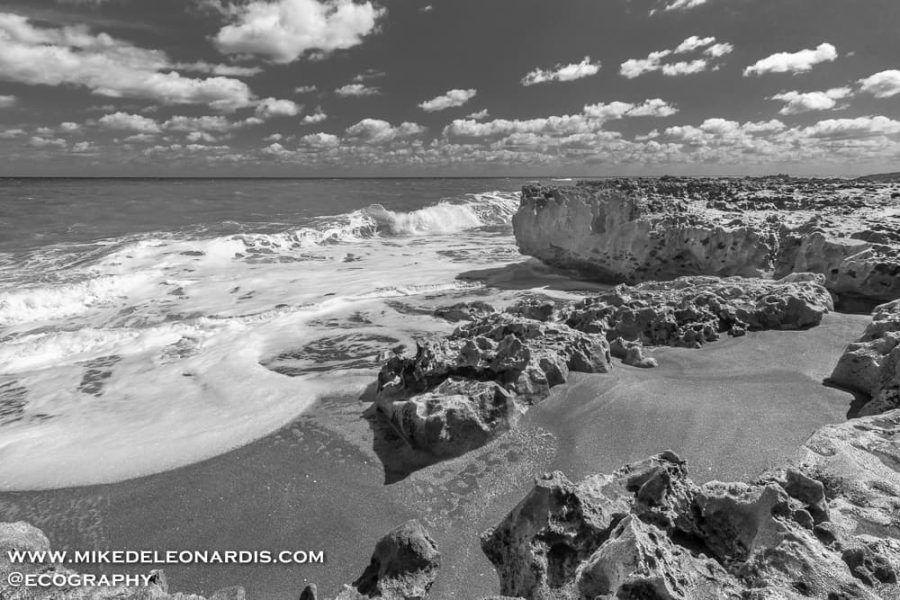 Blowing Rocks Preserve