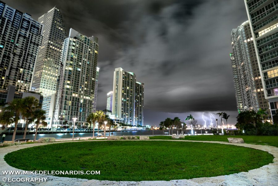 Miami Circle Storm
