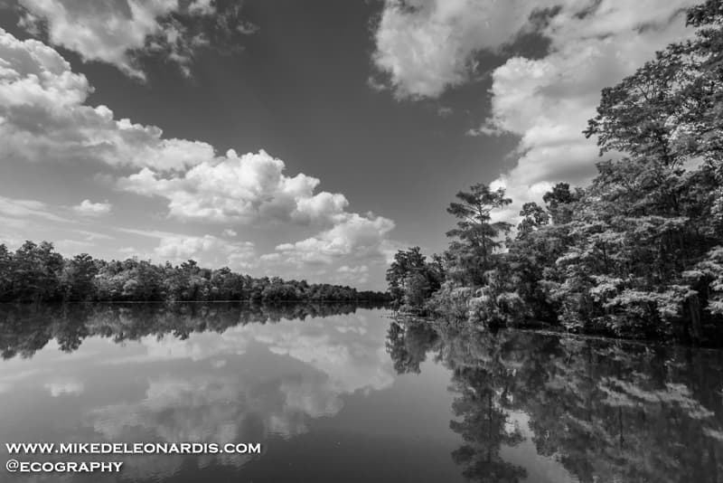 Pearl River