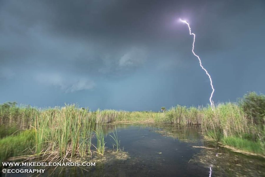 Lightning In Big Cypress 2