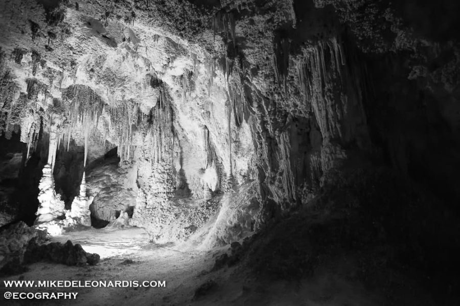 Carlsbad Caverns National Park