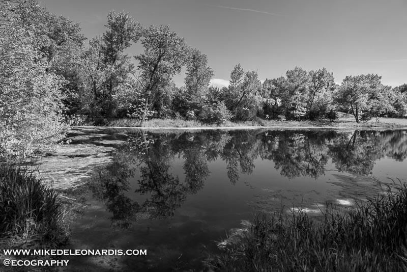 Reflective Nebraska