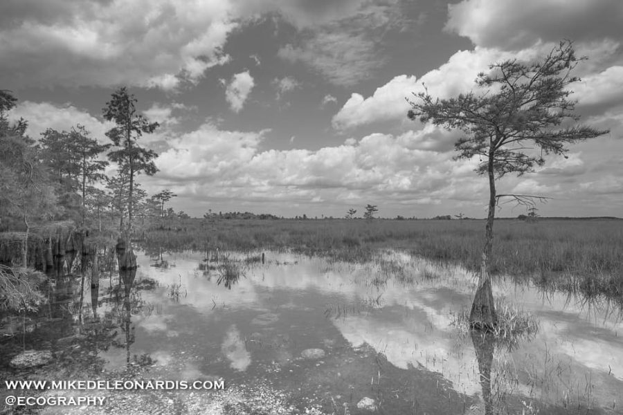 Pa-hay-okee Waters