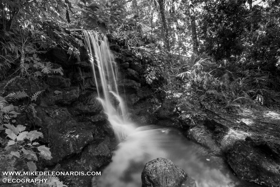 Florida Waterfall