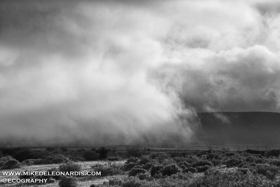Foggy Chilean Landscape