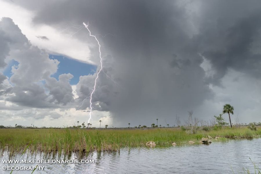 Lightning In Big Cypress 1