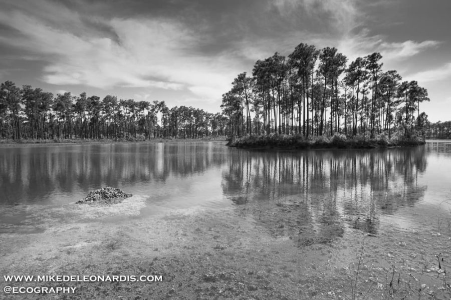 Long Pine Key