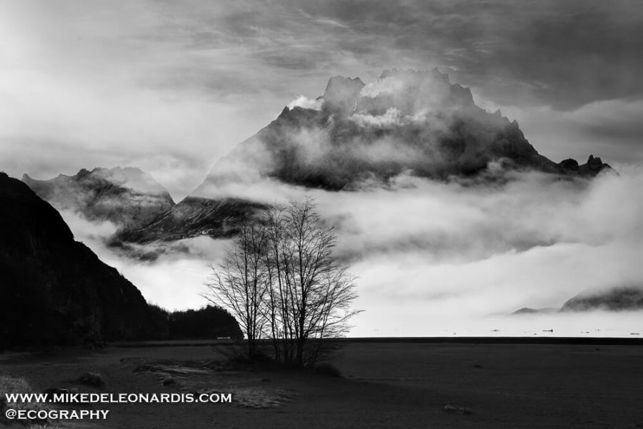 Lago Grey Landscape