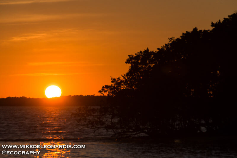 Everglades Sunset