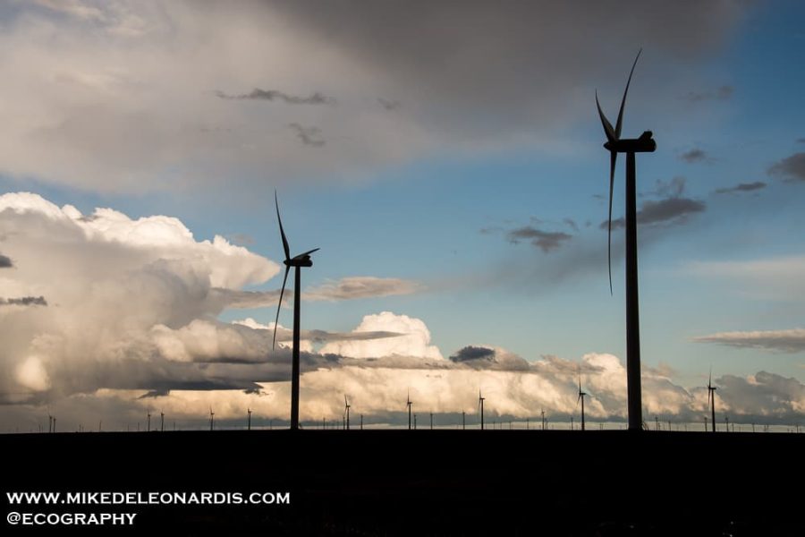 Silhouetted Turbines